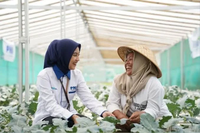 PNM Catat 2,5 Juta Nasabah Mekaar Naik Kelas Dari Integrasi Holding UMi